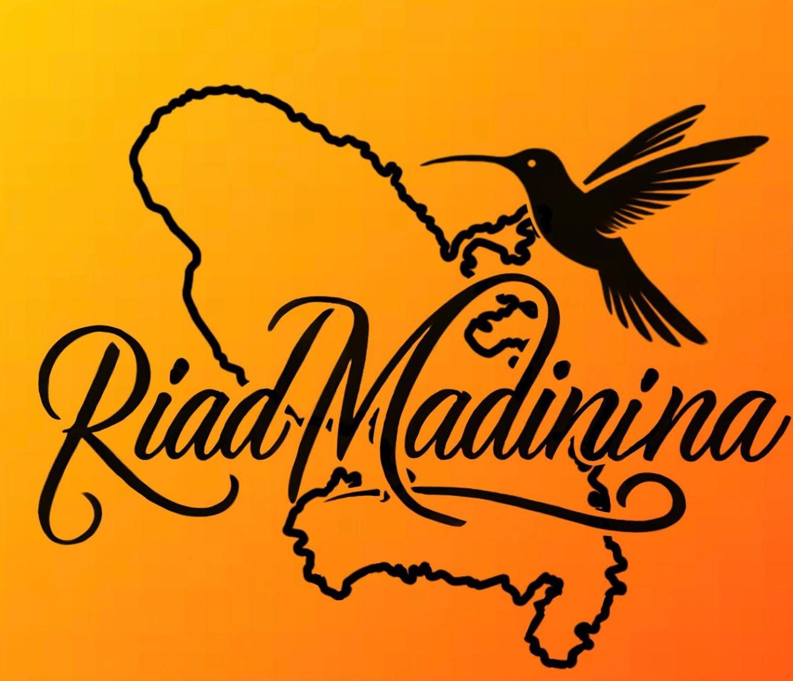 Riad Madinina มาร์ราเกช ภายนอก รูปภาพ